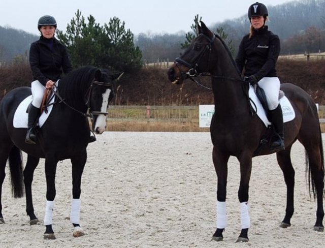 Les monitrices du centre equestre
